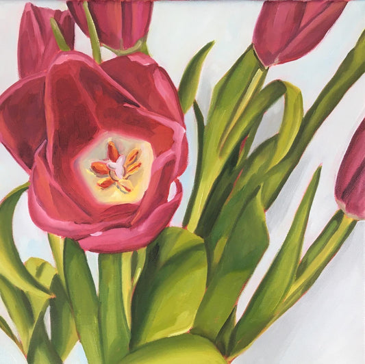 Tulips