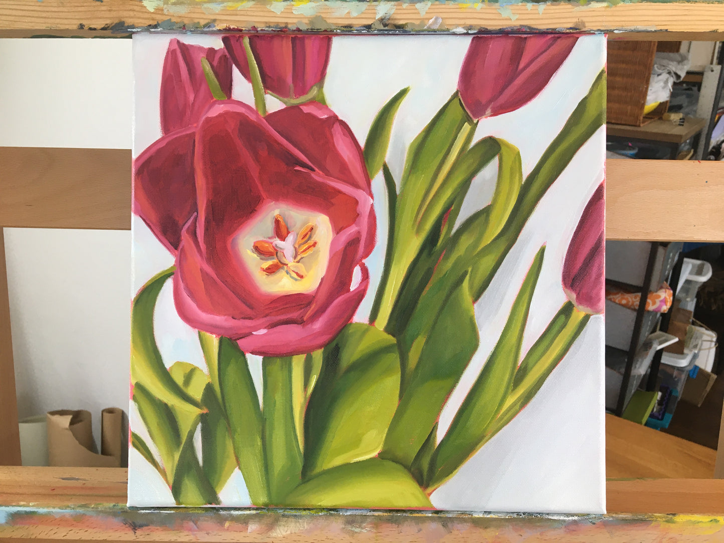 Tulips