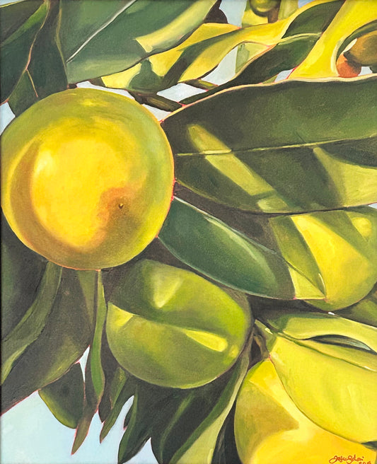 Kumquats